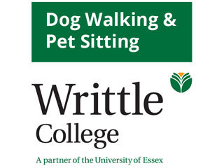 Dog Walking And Pet Sitting Certificate At Writtle College