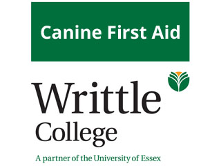 Canine First Aid Certificate At Writtle College
